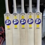 The Cricket Alley