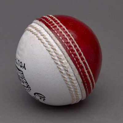 The Cricket Alley